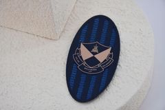 পোশাক 3 রঙের লোগো সহ কাস্টমাইজড সিলিকন তাপ স্থানান্তর লেবেল